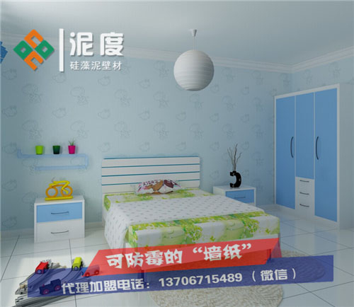 江蘇宿遷泥度硅藻泥是什么？圖片