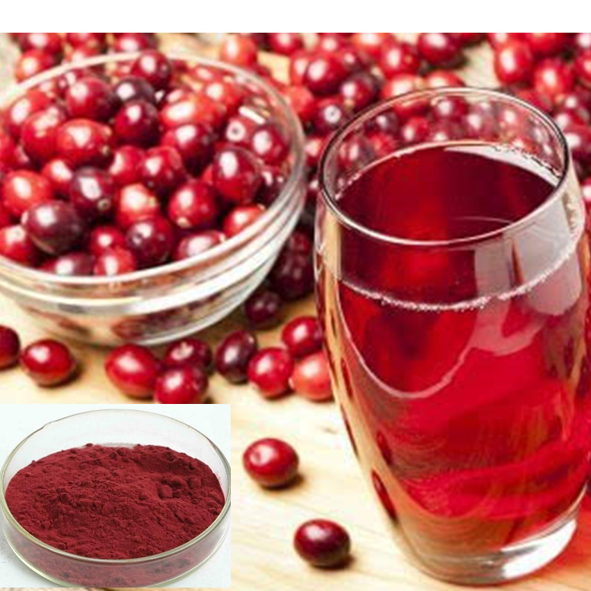 蔓越莓圖片/蔓越莓樣板圖 (2)