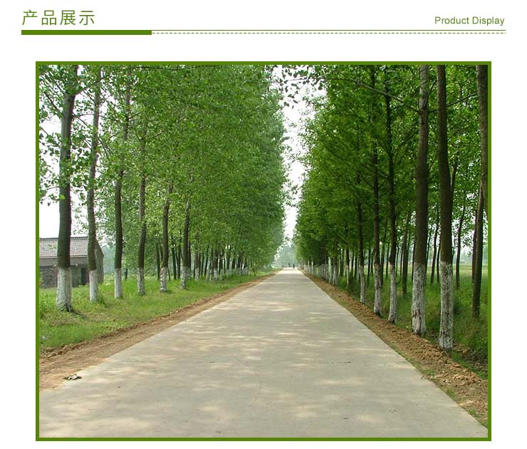 普陀區(qū)綠化養(yǎng)護工程施工電話，普陀區(qū)園林綠化工程施工，上海園林綠化工程施工