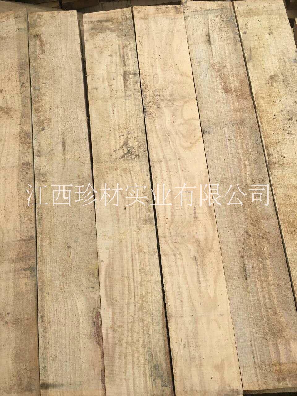 荷木圖片/荷木樣板圖 (1)