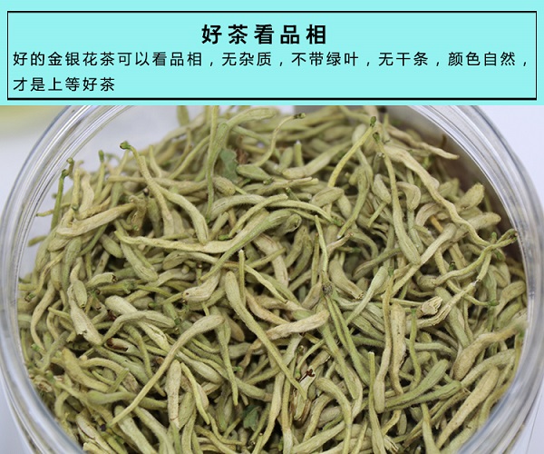 金銀花圖片/金銀花樣板圖 (1)