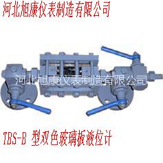玻璃板液位計(jì)圖片/玻璃板液位計(jì)樣板圖 (3)