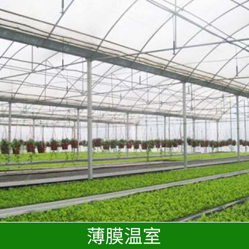 薄膜溫室圖片/薄膜溫室樣板圖 (3)