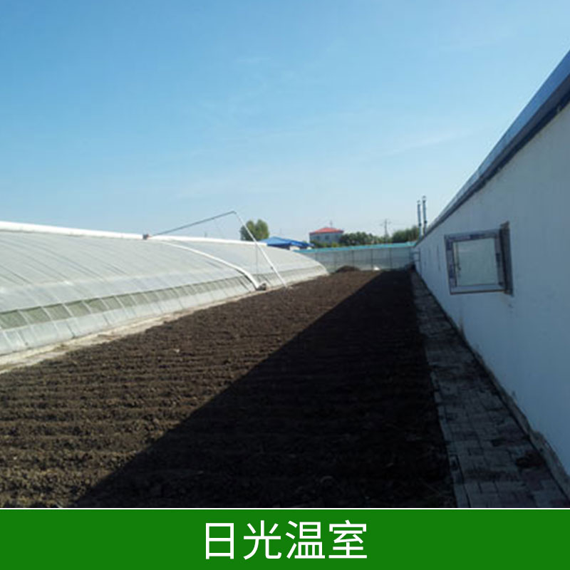 日光溫室圖片/日光溫室樣板圖 (2)