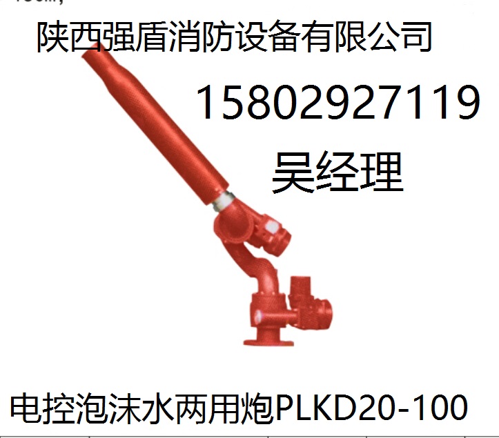 電控消防泡沫水兩用炮圖片