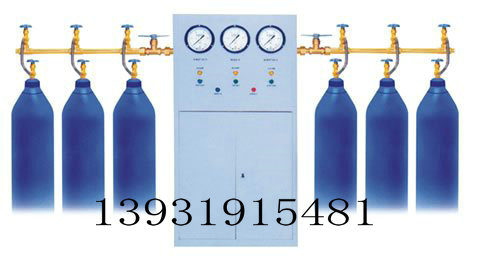 專業(yè)生產(chǎn)氣體自動(dòng)切換匯流排圖片