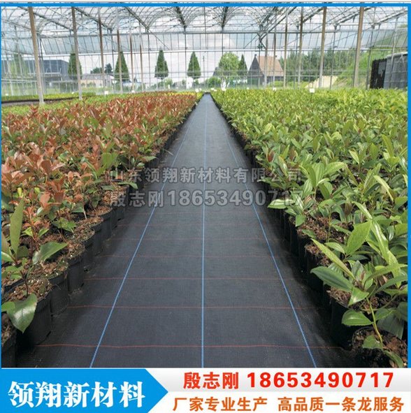 批发园艺防草布 pp编织防草土工布 pp防草土工布果园防草布厂家