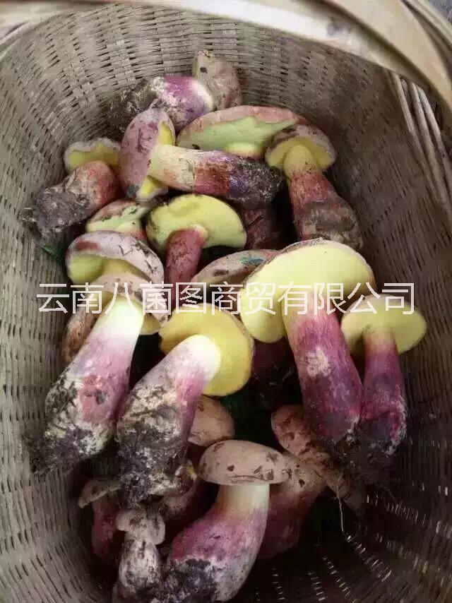 鮮貨圖片/鮮貨樣板圖 (3)