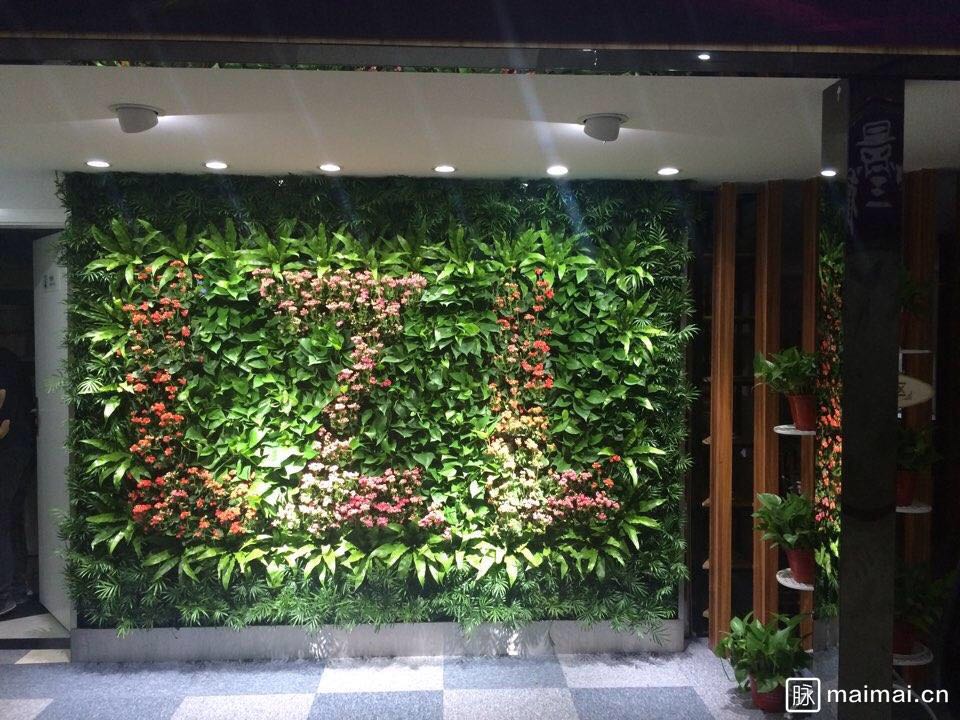 西安植物墻 立體綠化 陽臺(tái)花園圖片/西安植物墻 立體綠化 陽臺(tái)花園樣板圖 (4)