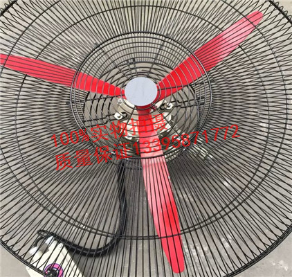 防爆搖頭扇  FB-500壁式防爆搖頭扇   防爆落地扇