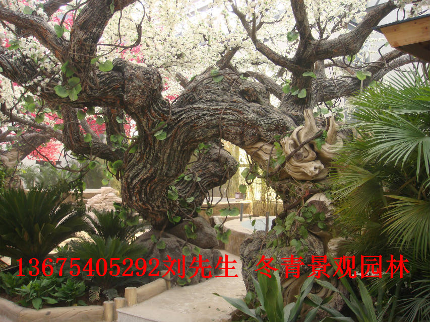 菏澤專業(yè)制作室內(nèi)仿真樹近期行情圖片