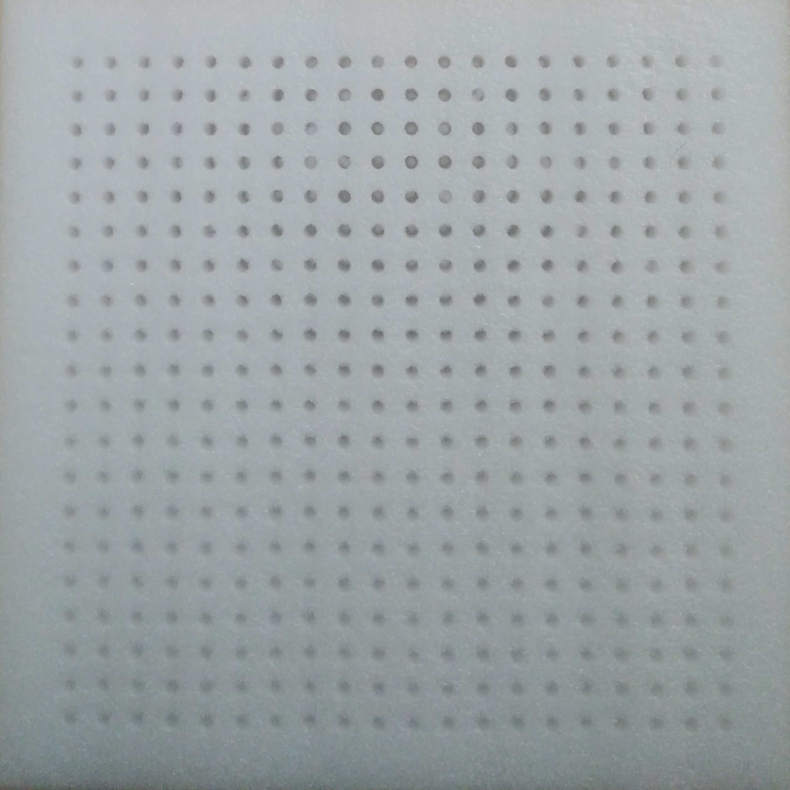 泡沫托圖片/泡沫托樣板圖 (2)