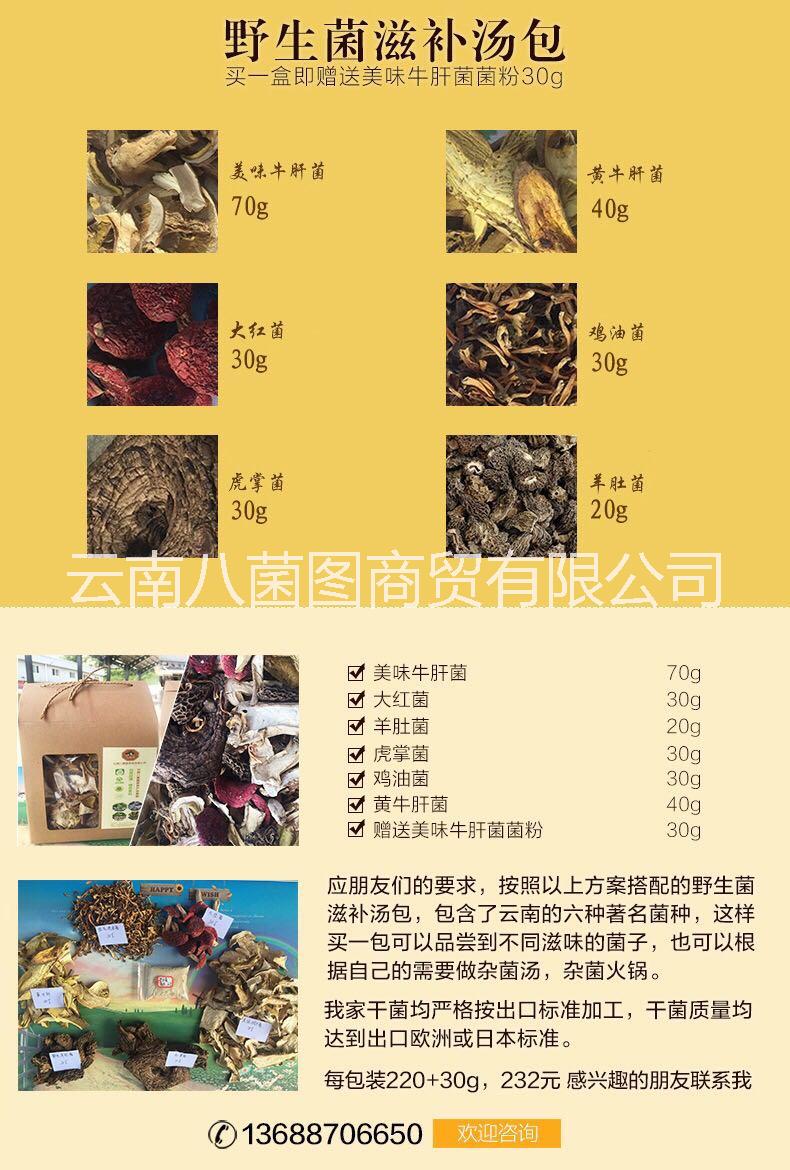 野生菌圖片/野生菌樣板圖 (3)