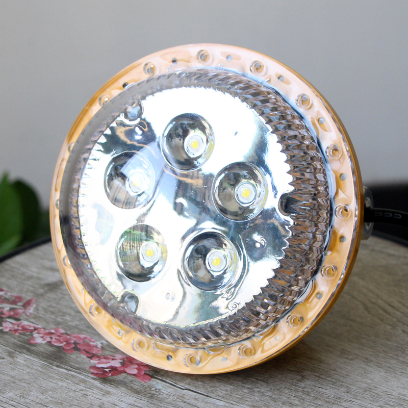 LED防爆吸頂燈圖片