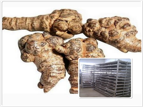 云南三七烘干機(jī) 文州三七烘干機(jī) 廠家直銷三七烘干機(jī)報(bào)價(jià) 三七烘箱