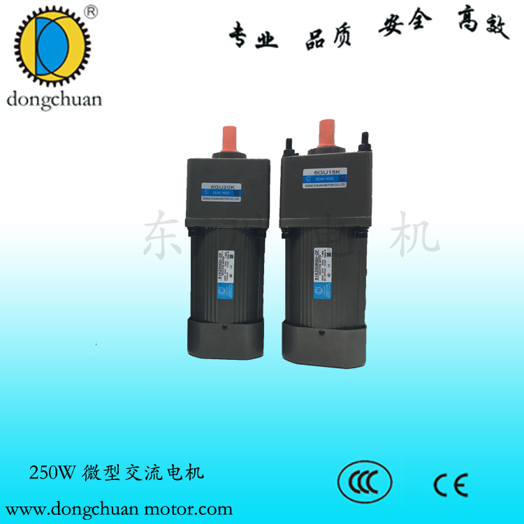 深圳東川廠家直銷250W調(diào)速電機(jī)圖片/深圳東川廠家直銷250W調(diào)速電機(jī)樣板圖 (4)