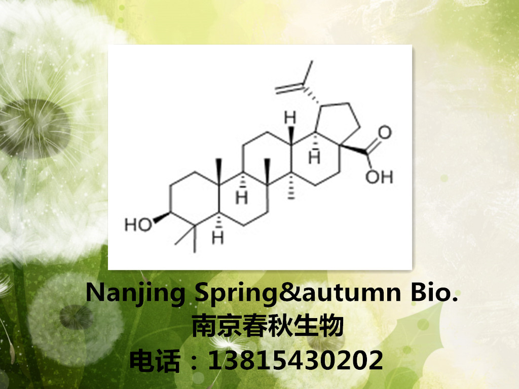 白桦脂酸472-15-1图片