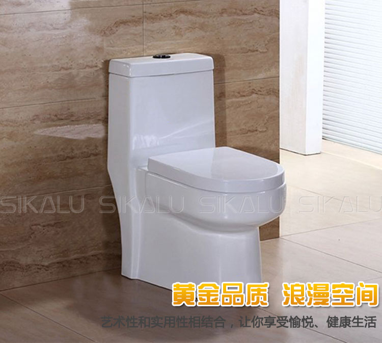 坐便器圖片/坐便器樣板圖 (2)