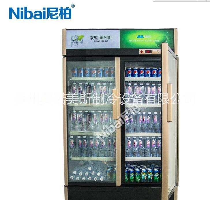 保鮮冷藏展示柜冷柜冰箱水果展架陳列商用推門啤酒飲料柜訂做保鮮冷