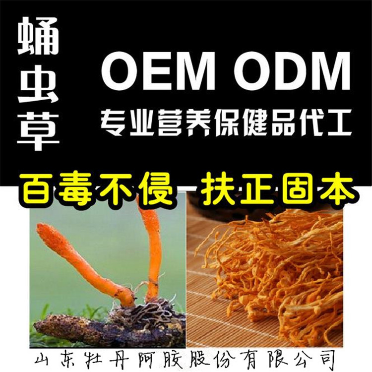 蛹蟲草片 蛹蟲草粉加工男性膳食營養(yǎng)養(yǎng)生食品蛹蟲 可貼牌定制