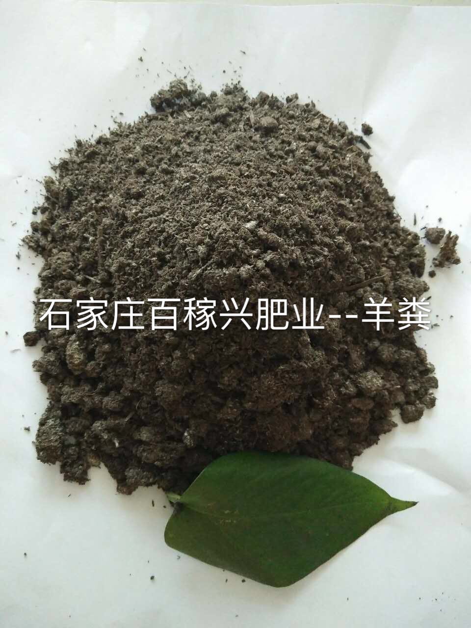 羊糞有機(jī)肥圖片/羊糞有機(jī)肥樣板圖 (1)