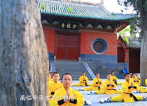 少林武校男女生武术课程一样吗 少林武术图片