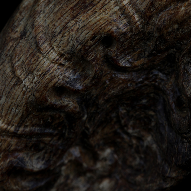 加里曼丹圖片/加里曼丹樣板圖 (3)