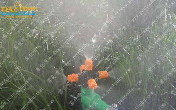 五出口降溫霧化噴頭圖片