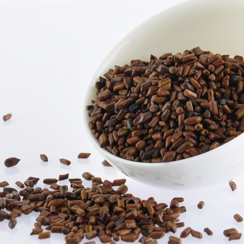 決明子圖片/決明子樣板圖 (2)