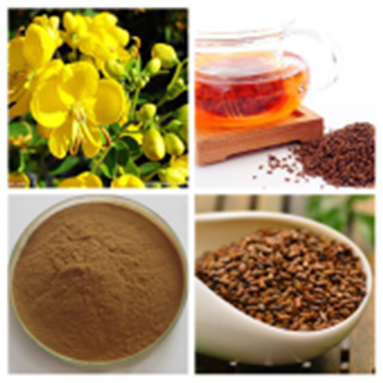 決明子圖片/決明子樣板圖 (4)