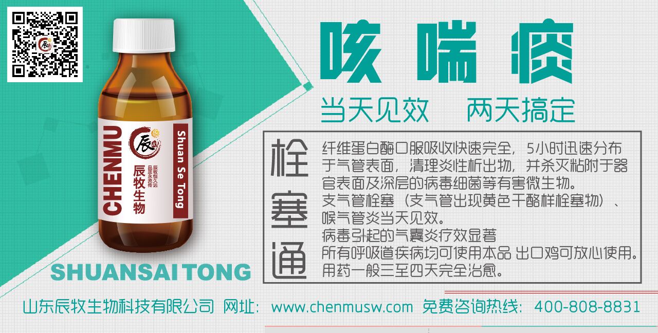 肉雞支氣管堵塞了怎么治療圖片