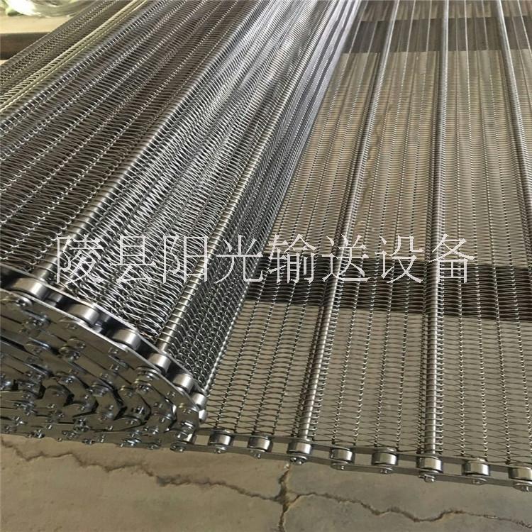 廠家生產(chǎn)制藥機(jī)輸送網(wǎng)帶非標(biāo)定制陽(yáng)光供應(yīng)