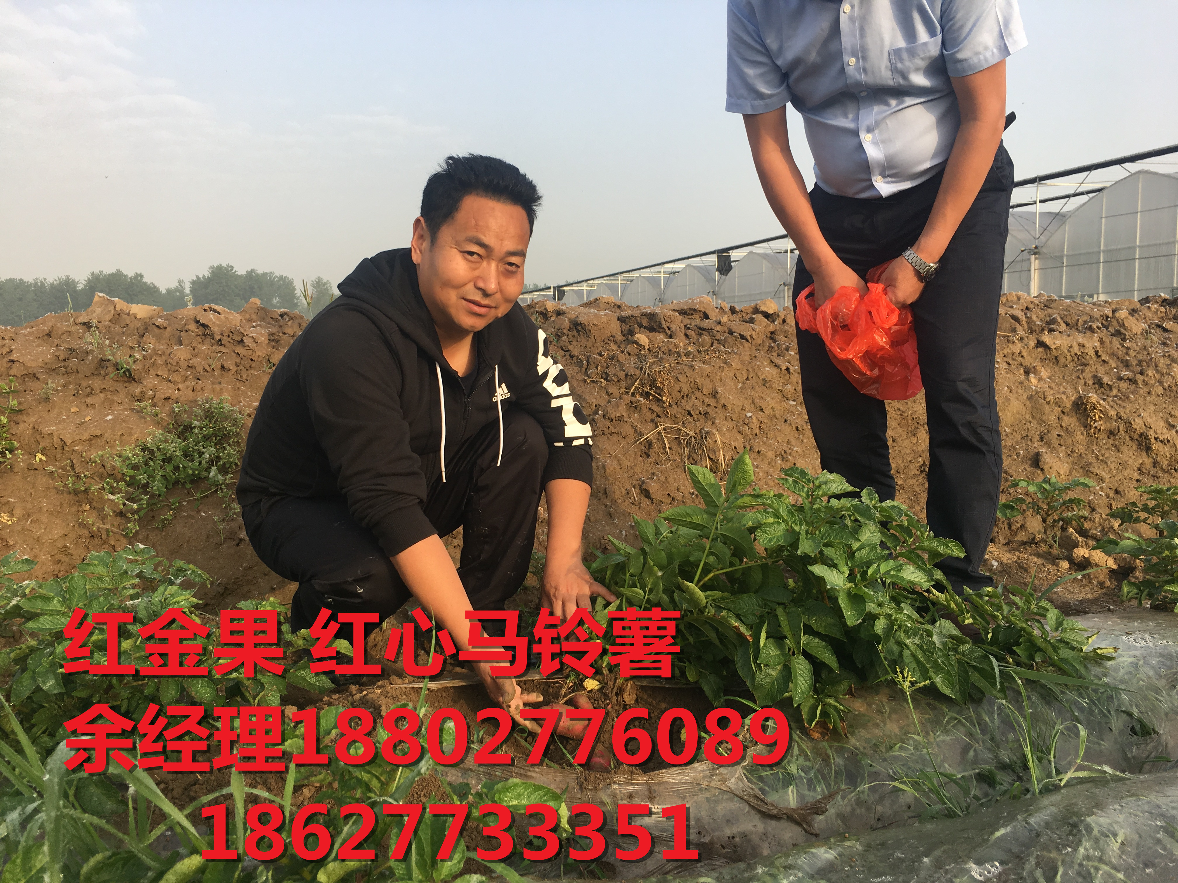 紅心圖片/紅心樣板圖 (1)