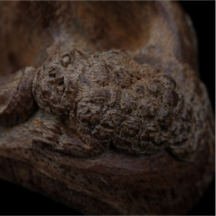 加里曼丹沉香圖片/加里曼丹沉香樣板圖 (3)