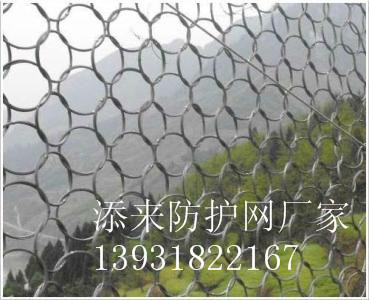 邊坡防護(hù)網(wǎng)@主動(dòng)防護(hù)網(wǎng)@被動(dòng)防護(hù)網(wǎng)@添來生產(chǎn)廠家 山體防護(hù)網(wǎng) 山體安全網(wǎng)