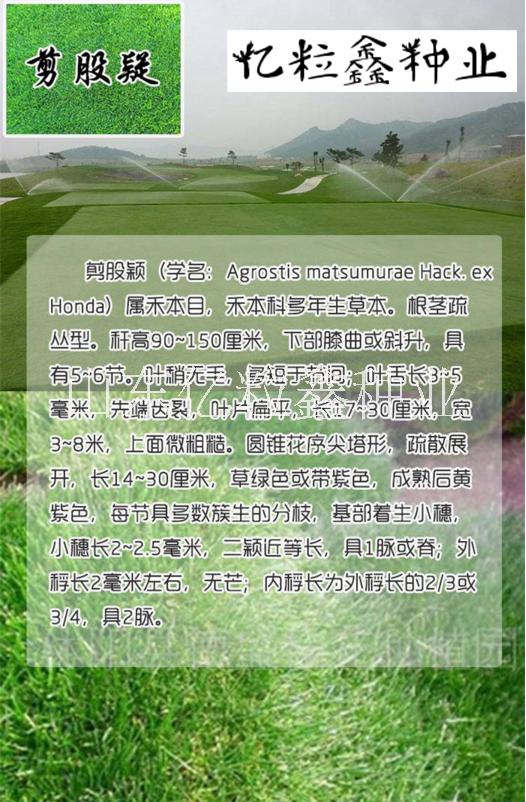 哪里有賣圖片/哪里有賣樣板圖 (1)