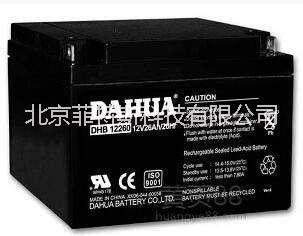 DAHUA/大華蓄電池圖片/DAHUA/大華蓄電池樣板圖 (2)