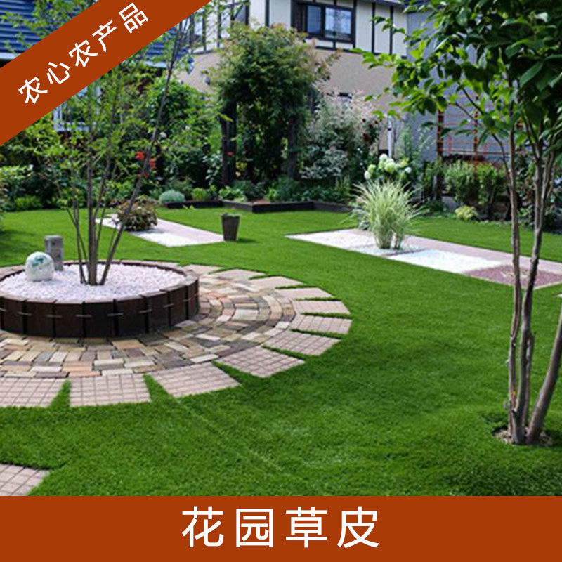 安徽花園草皮批發(fā)基地圖片