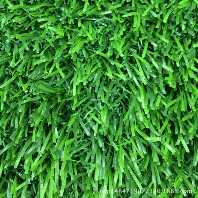 運(yùn)動(dòng)場(chǎng)草坪圖片/運(yùn)動(dòng)場(chǎng)草坪樣板圖 (4)