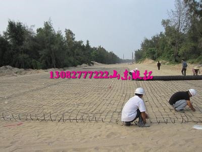 黑龍江鋼塑格柵圖片/黑龍江鋼塑格柵樣板圖 (2)