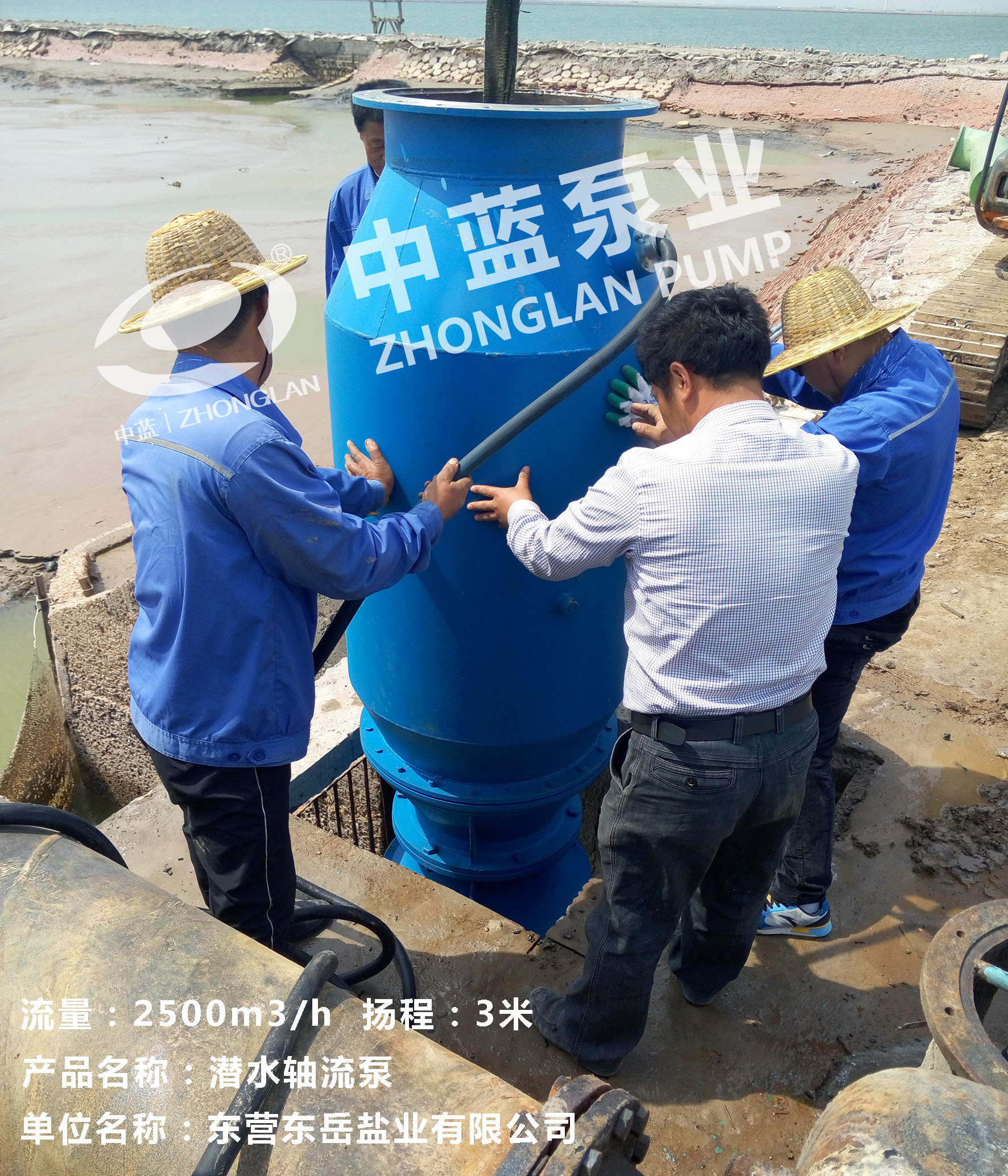 潛水軸流泵參數(shù)/不銹鋼潛水泵