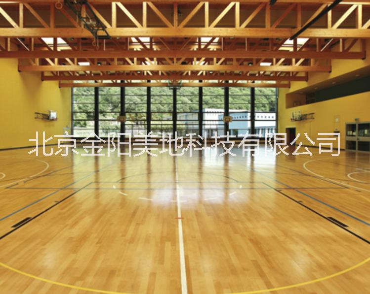 運動地板圖片/運動地板樣板圖 (3)