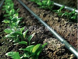 滴灌管圖片/滴灌管樣板圖 (3)