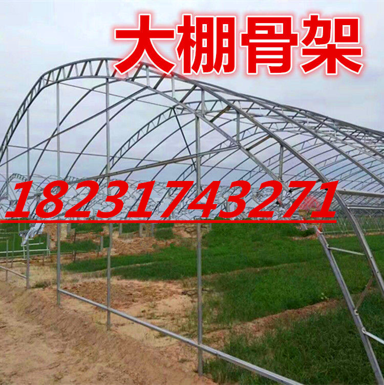 大棚骨架圖片/大棚骨架樣板圖 (4)