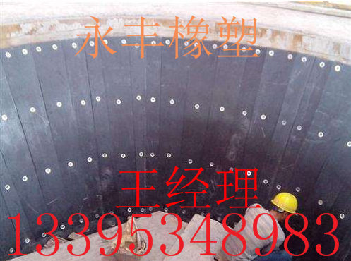 煤倉(cāng)襯板圖片/煤倉(cāng)襯板樣板圖 (4)