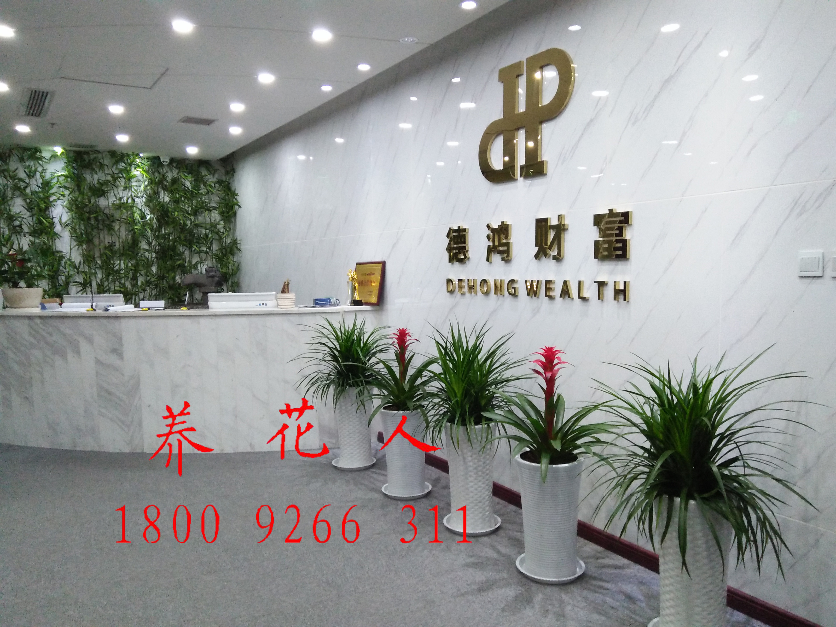 西安租花 西安花卉公司圖片