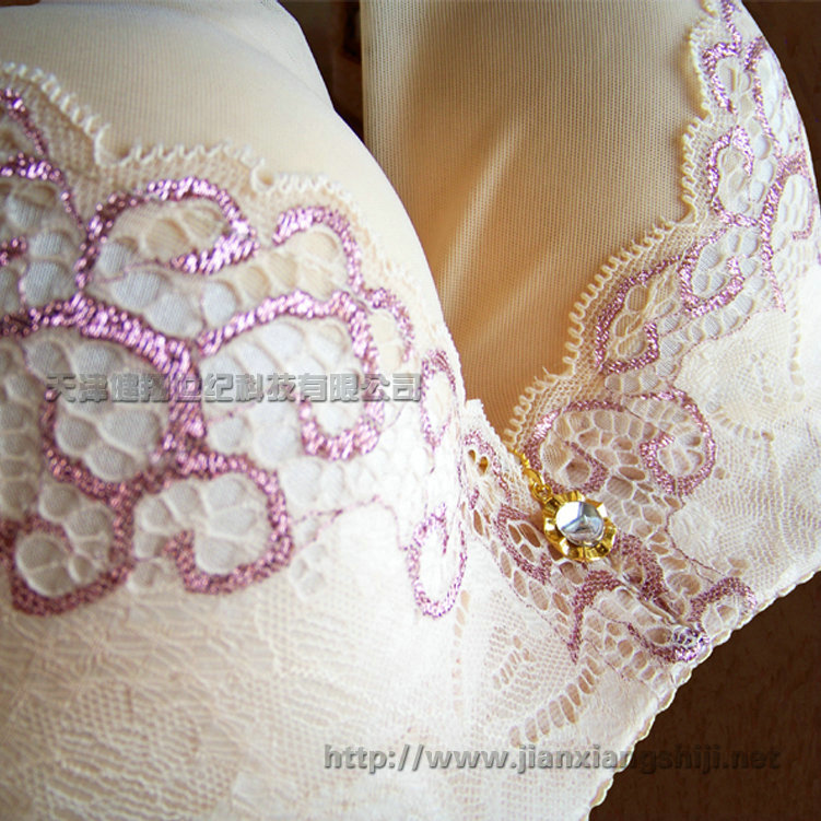 托瑪琳遠(yuǎn)紅外磁石胸罩圖片