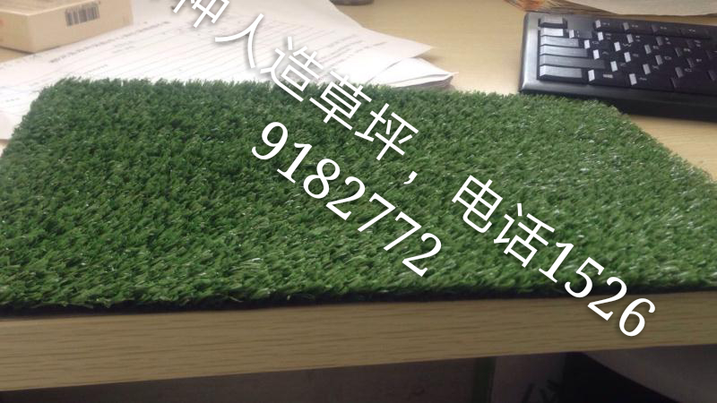 人造草坪圖片/人造草坪樣板圖 (3)