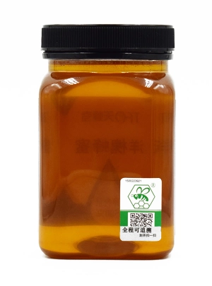 洋槐蜂蜜圖片/洋槐蜂蜜樣板圖 (2)