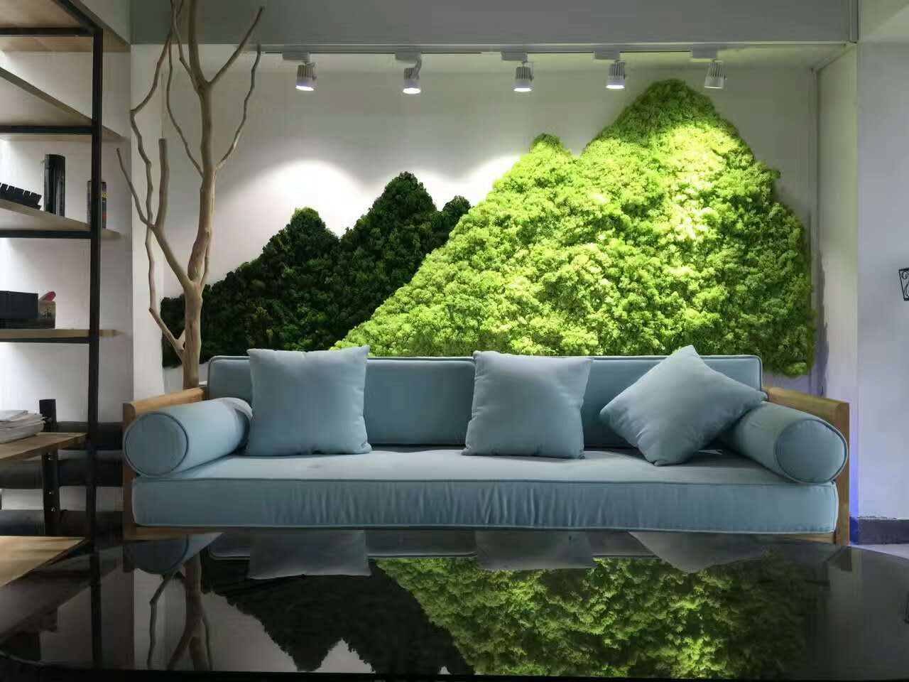 西安植物圖片/西安植物樣板圖 (4)
